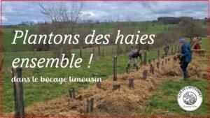 
Plantons-des-haies--dans-le-bocage-limousin au Clos de L'Arthonnet